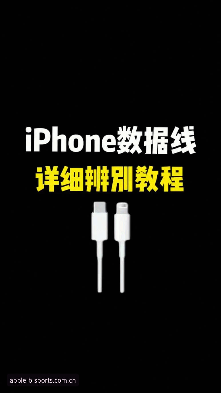 体育旧版本官网苹果直连手机版使用教程：从访问到数据查询全流程